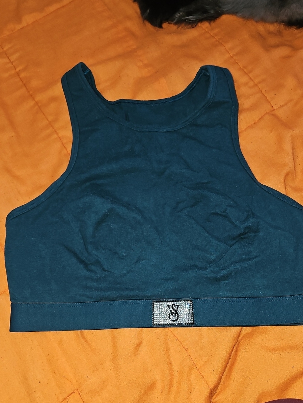 Vicroria Secret Womenz Sports Bra Top. Sz Large, Glitzy